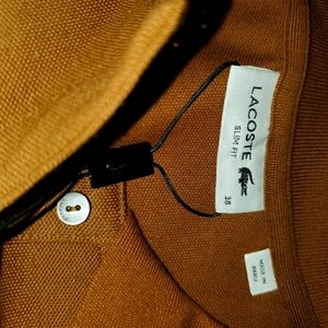 Brown lactate slim fit polo